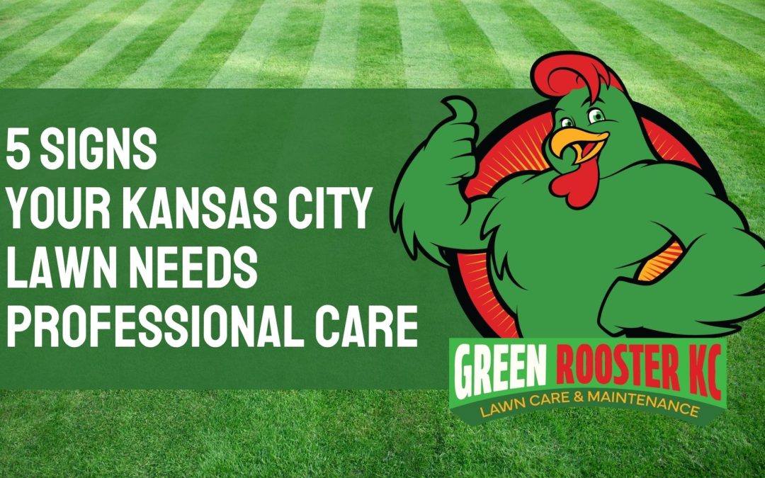 5 Signs Your Kansas City Lawn Needs Professional Care