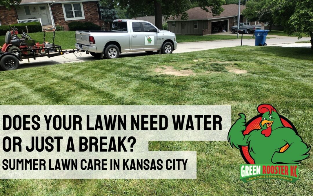 Freshly cut yard behind the Green Rooster KC logo and left aligned uppercase text: Does Your Lawn Need Water or Just a Break? Summer Lawn Care in Kansas City