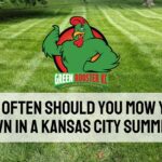 Freshly cut yard behind the Green Rooster KC logo and centered uppercase text: How Often Should You Mow Your Lawn in a Kansas City Summer