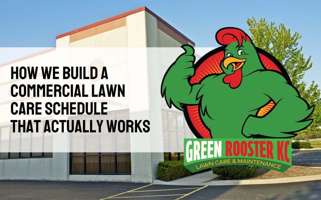 Photo of a commercial property behind GreenRooster KC logo and text: How We Build a Commercial Lawn Care Schedule That Actually Works
