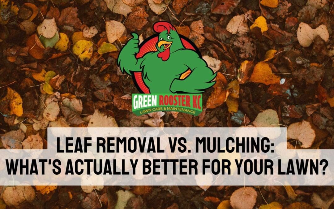 Wet, fallen leaves behind Green Rooster KC logo and uppercase centered text: Leaf Removal vs. Mulching: What's Actually Better for Your Lawn?