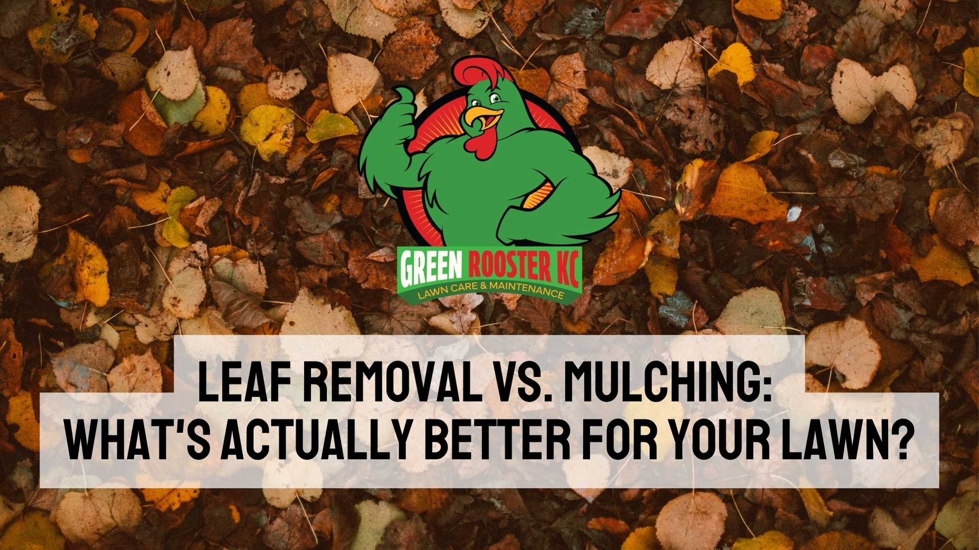 Wet, fallen leaves behind Green Rooster KC logo and uppercase centered text: Leaf Removal vs. Mulching: What's Actually Better for Your Lawn?