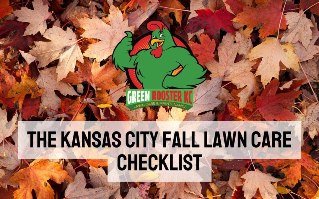 The Kansas City Fall Lawn Care Checklist