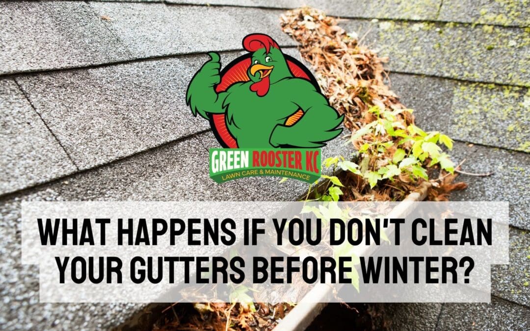 Clogged gutters behind Green Rooster KC logo and uppercase centered text: What Happens If You Don't Clean Your Gutters Before Winter?