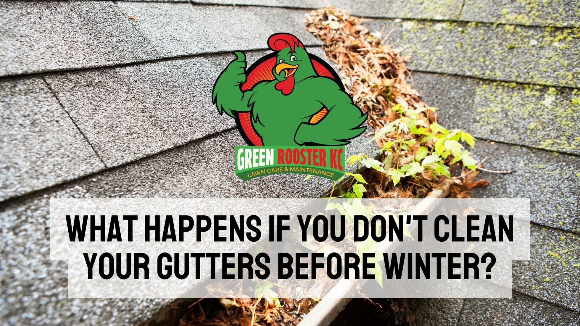 Clogged gutters behind Green Rooster KC logo and uppercase centered text: What Happens If You Don't Clean Your Gutters Before Winter?