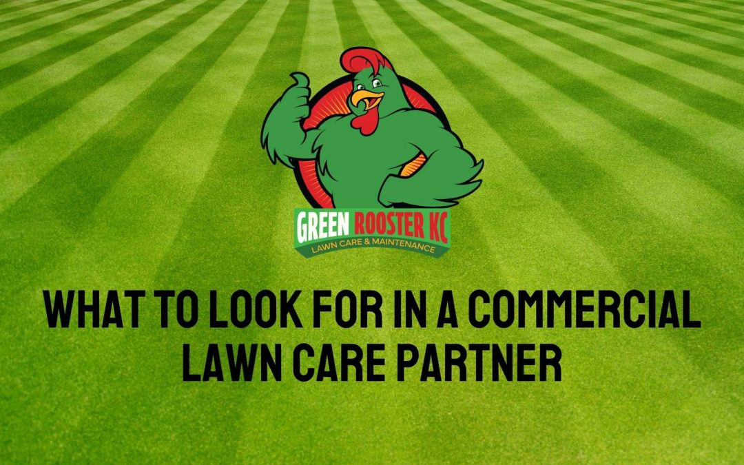 What to Look for in a Commercial Lawn Care Partner