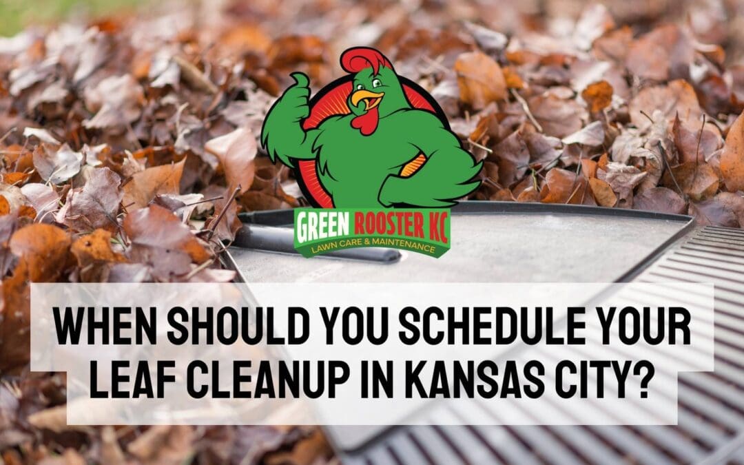 When Should You Schedule Your Leaf Cleanup in Kansas City?