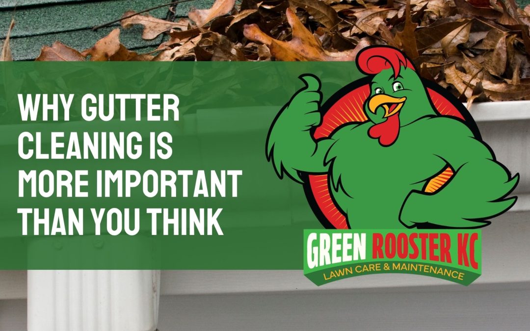 Clogged Gutters photo image behind GreenRooster KC logo and text: Why Gutter Cleaning Is More Important Than You Think