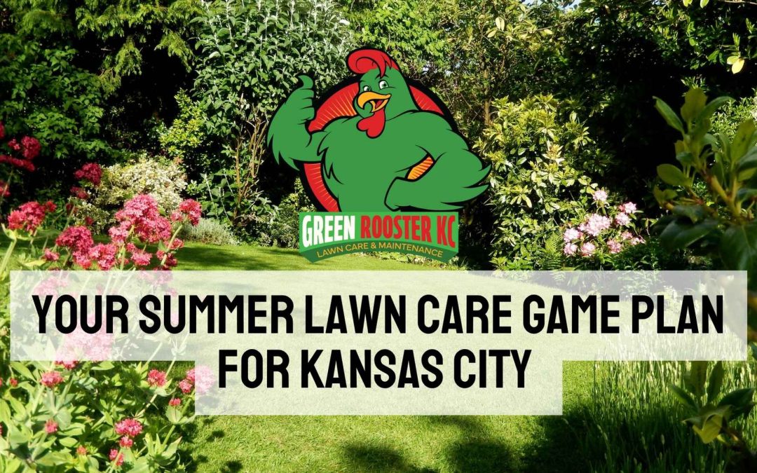 Beautiful yard behind GreenRooster KC logo and text: Your Summer Lawn Care Game Plan for Kansas City