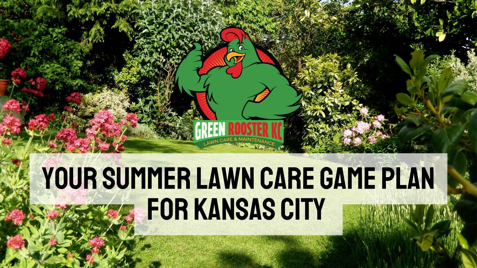 Beautiful yard behind GreenRooster KC logo and text: Your Summer Lawn Care Game Plan for Kansas City