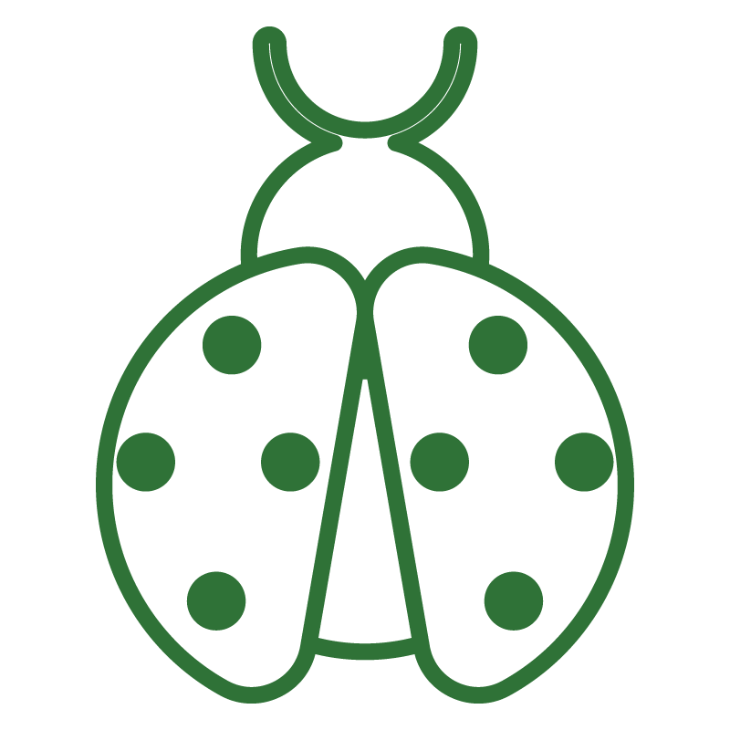 Ladybug icon