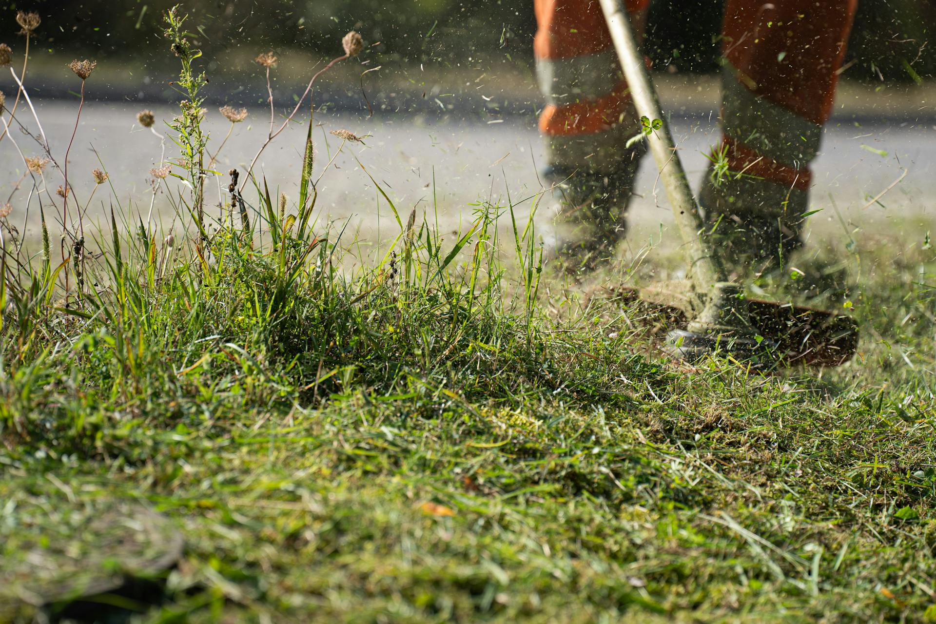 person weedeating