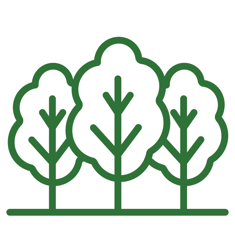 Three small trees